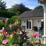 The Brown Horse Winster