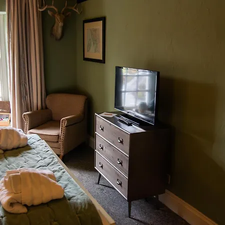 The Brown Horse