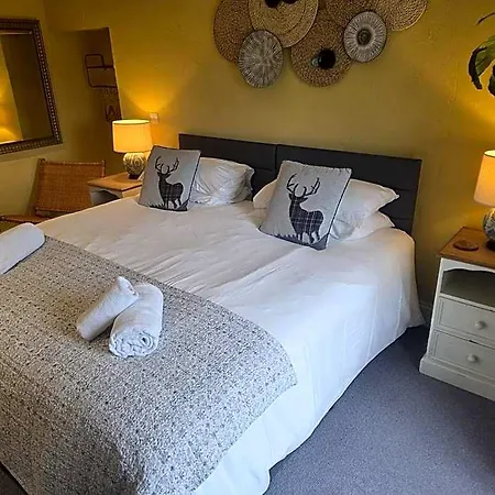 The Brown Horse 3*