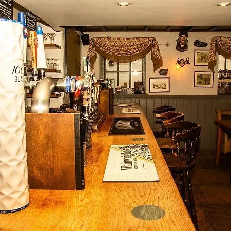 The Brown Horse