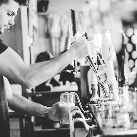 אורחן The Brown Horse Winster (Cumbria)