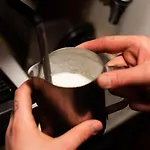 The Brown Horse Мини-отель