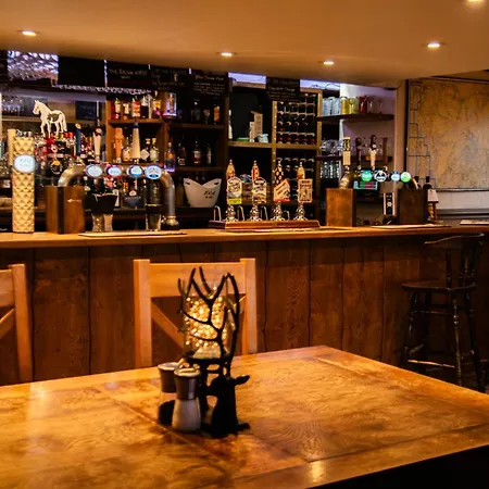 The Brown Horse